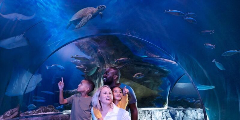 SEA LIFE Arizona Aquarium General Admission - Interactive Experiences and Educational Value