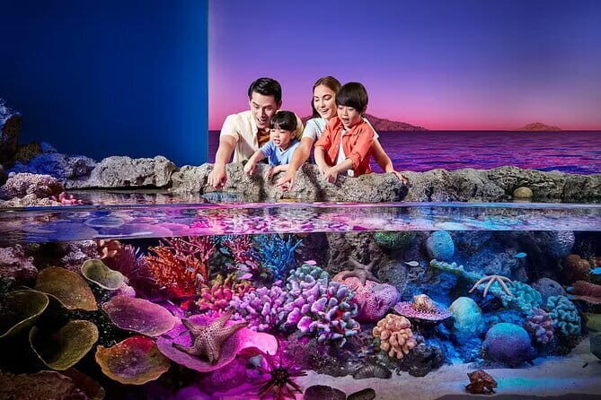 Sea Life Bangkok & Madame Tussauds Ticket with Optional Transfers - Key Points