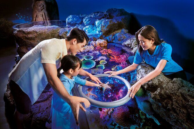 SEA LIFE Bangkok Ocean World and Madam Taussauds Entry Ticket - Exploring SEA LIFE Bangkok Ocean World