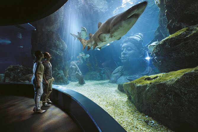 SEA LIFE Bangkok Ocean World and Madam Taussauds Entry Ticket - Practical Details and Tips for Visitors
