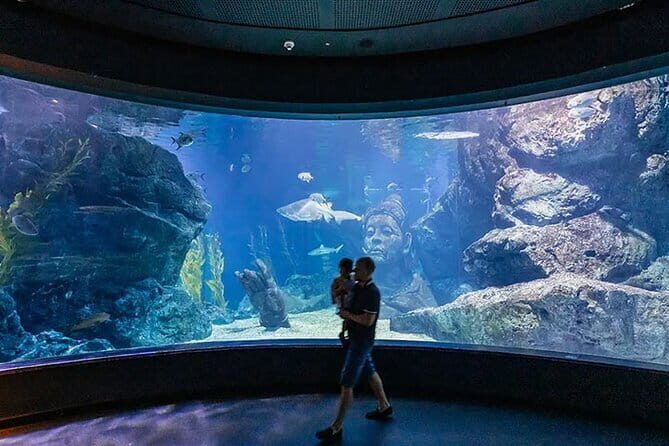 SEA LIFE Bangkok Ocean World Tickets - What Makes It Worthy of Your Time and Money