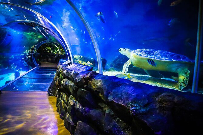 SEA LIFE Birmingham Admission Ticket - Who Should Consider This Experience?