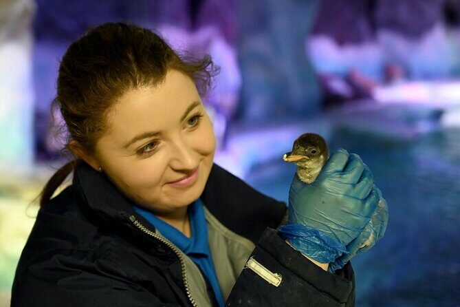 SEA LIFE Birmingham Admission Ticket - Frequently Asked Questions
