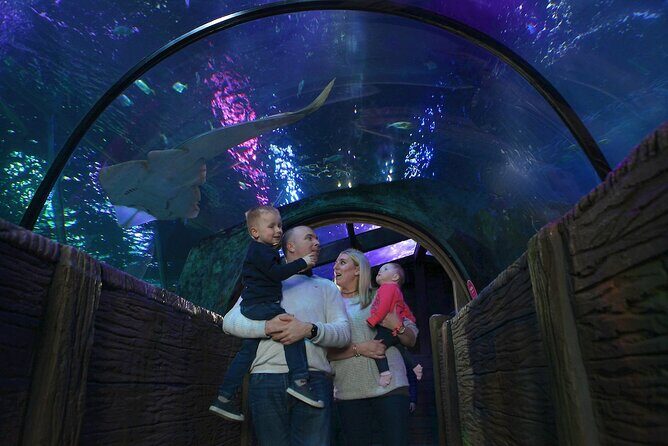 SEA LIFE Blackpool Admission Ticket - Entry and Booking Process