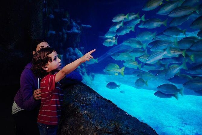 SEA LIFE Blackpool Admission Ticket - Starting with the Rock Pools