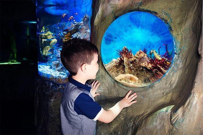 SEA LIFE Blackpool Admission Ticket - Walk-through Tunnels and Bubble Windows