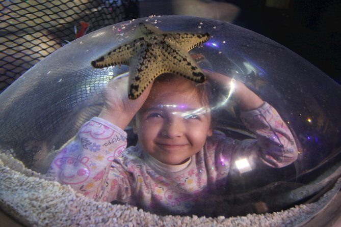 SEA LIFE Blackpool Admission Ticket - Educational and Interactive Elements