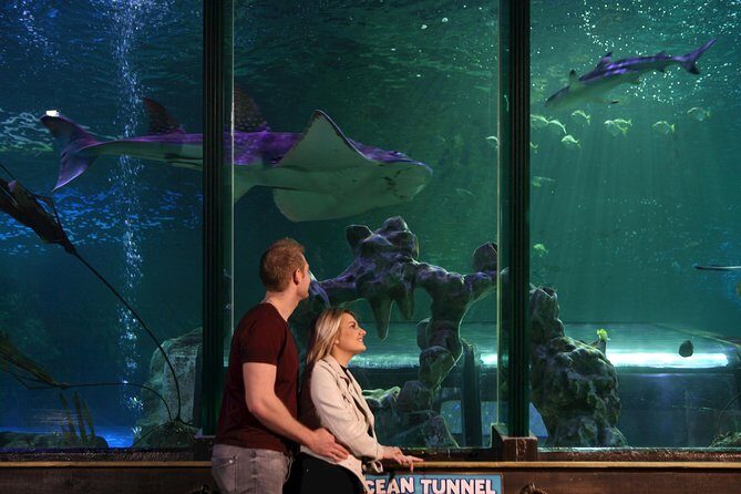 SEA LIFE Blackpool Admission Ticket - Duration and Group Size
