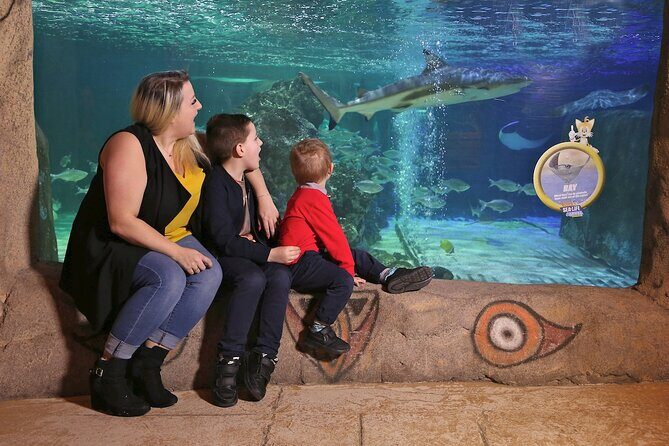 SEA LIFE Blackpool Admission Ticket - Price and Value