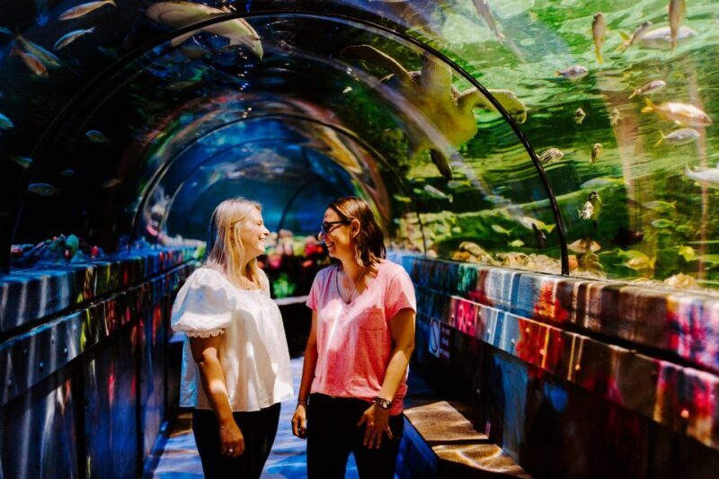 Sea Life Brighton Admission Ticket - Key Points