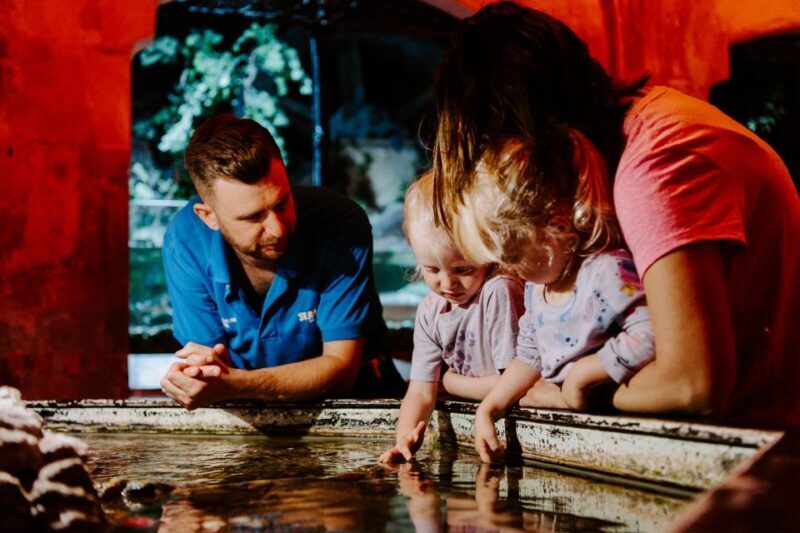 Sea Life Brighton Admission Ticket - The Location and How to Get There