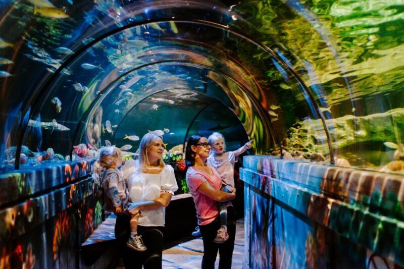 Sea Life Brighton Admission Ticket - Interactive Experiences: Talks and Feedings