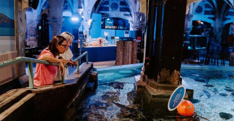 Sea Life Brighton Admission Ticket - Practical Tips for a Smooth Visit