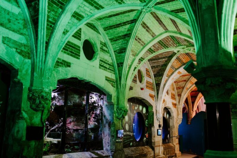 Sea Life Brighton Admission Ticket - What Could Be Better?