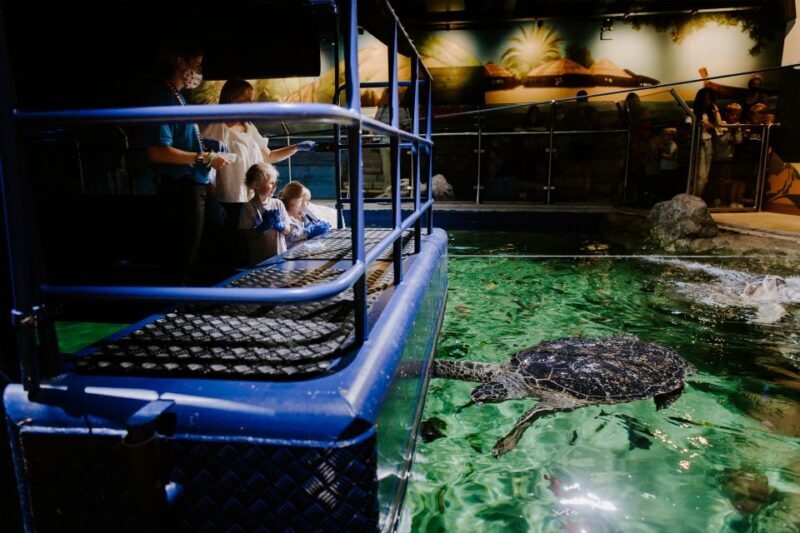 Sea Life Brighton Admission Ticket - Is It Worth the Visit?