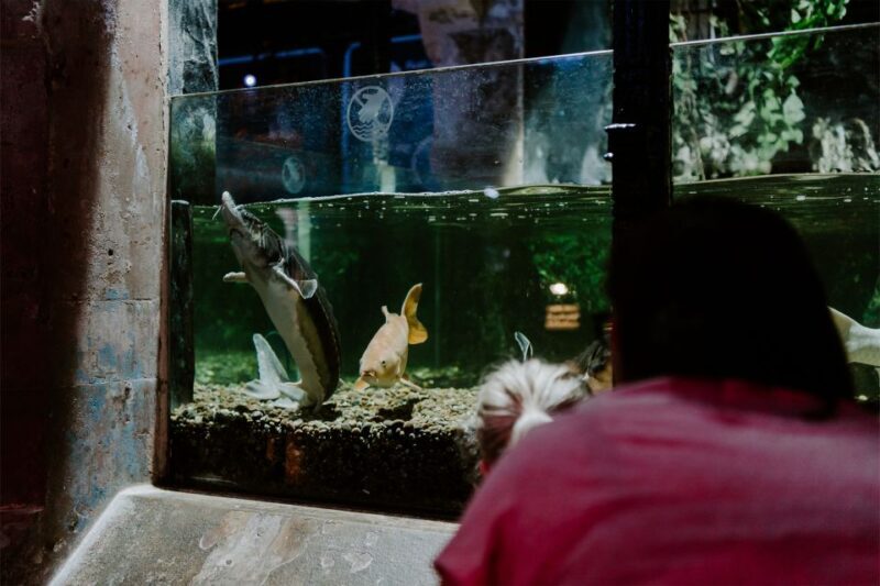 Sea Life Brighton Admission Ticket - Who Would Love This?