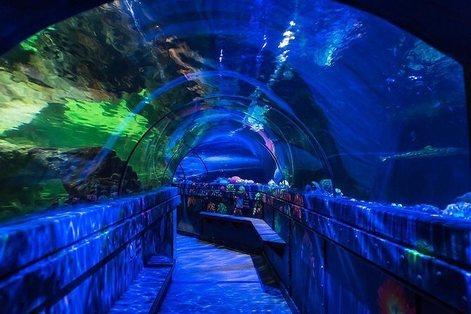SEA LIFE Brighton Admission Ticket - The Sum Up