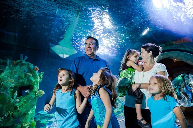 Sea Life Charlotte Concord Aquarium Admission Ticket - Key Points