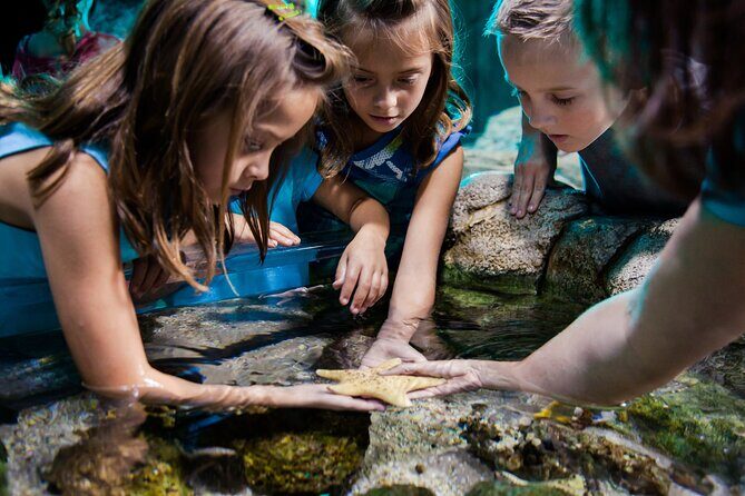 Sea Life Charlotte Concord Aquarium Admission Ticket - Practical Tips for Visitors