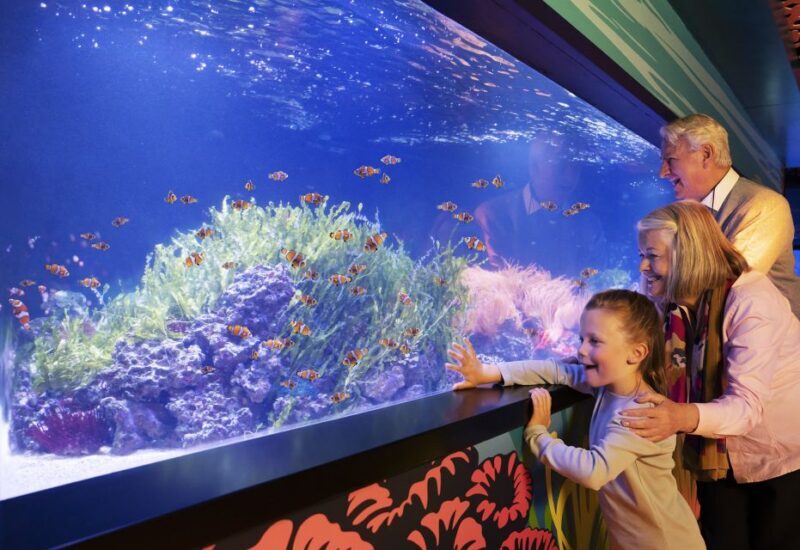 SEA LIFE Charlotte-Concord Aquarium General Admission - What is Included and What to Expect