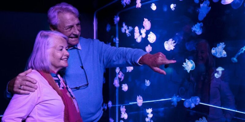 SEA LIFE Charlotte-Concord Aquarium General Admission - Practical Tips for Visitors