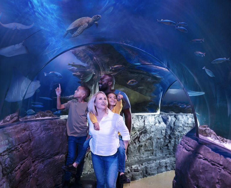 SEA LIFE Charlotte-Concord Aquarium General Admission - Authentic Visitor Insights