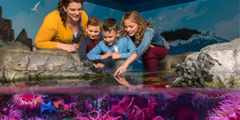 SEA LIFE Charlotte-Concord Aquarium General Admission - Final Thoughts