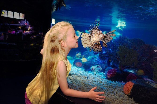 SEA LIFE Great Yarmouth General Admission - An In-Depth Look at SEA LIFE Great Yarmouth