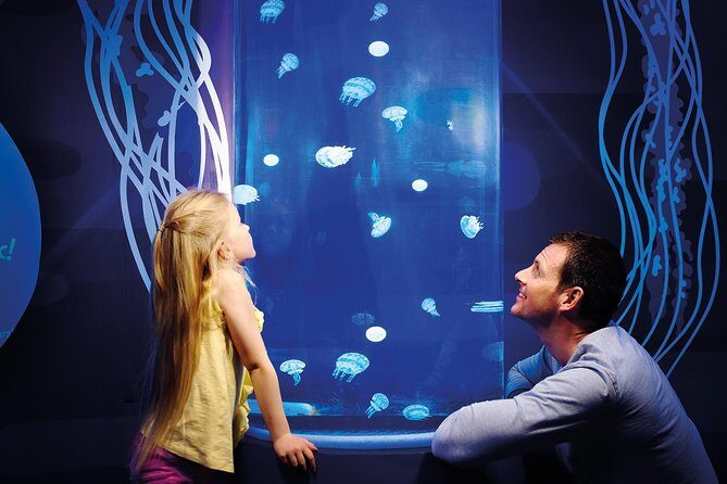 SEA LIFE Great Yarmouth General Admission - Is It Worth the Price?
