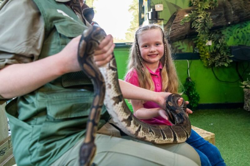 Sea Life Hunstanton - An In-Depth Look at Sea Life Hunstanton