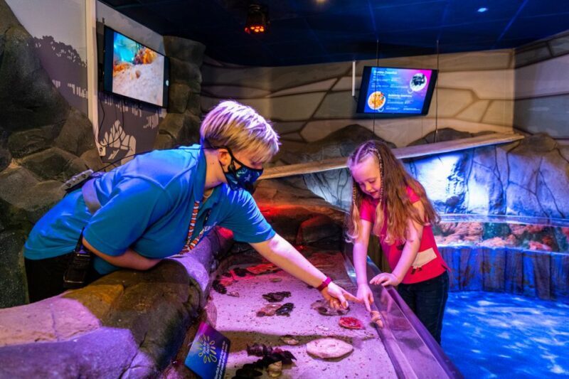 Sea Life Hunstanton - The Sum Up