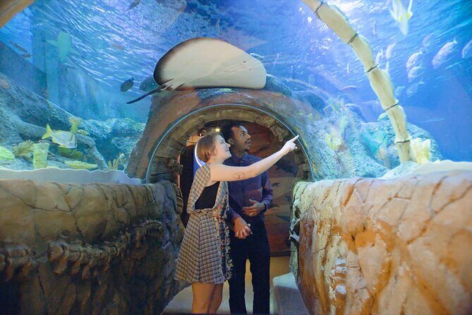 SEA LIFE Kansas City Aquarium Admission Ticket - Interactive and Educational Experiences