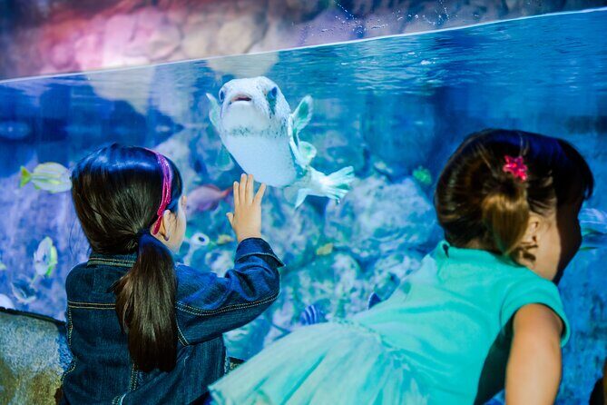 SEA LIFE Kansas City Aquarium Admission Ticket - Accessibility and Family Friendliness