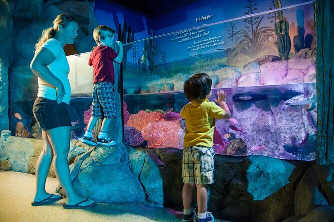 SEA LIFE Kansas City Aquarium Admission Ticket - Final Thoughts: Is It Worth It?