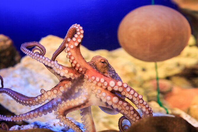 SEA LIFE Konstanz Admission Ticket - Practical Tips for Visiting