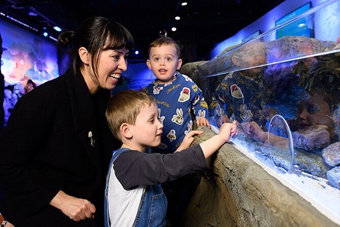 SEA LIFE London Aquarium Admission Ticket - Who Is This Attraction Best For?