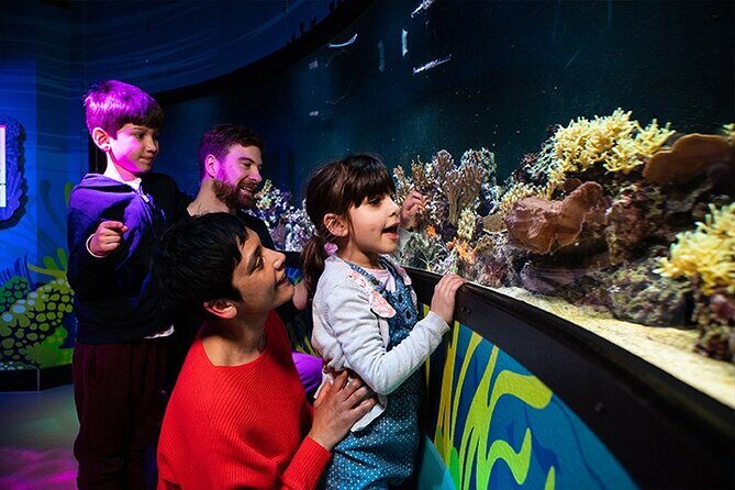 SEA LIFE London Aquarium Admission Ticket - FAQ