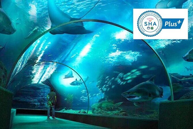 SEA LIFE & Madame Tussauds: Ultimate Bangkok Combo Ticket - Who Is This Tour Best For?