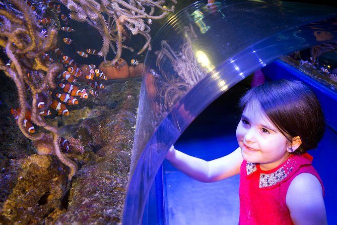 SEA LIFE Manchester Admission Ticket - Who Should Visit SEA LIFE Manchester?