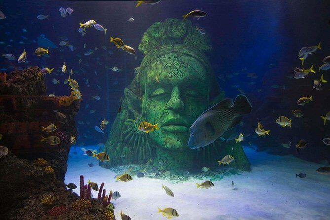 SEA LIFE Manchester Admission Ticket - Frequently Asked Questions (FAQs)