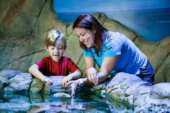 SEA LIFE Manchester Admission Ticket - Final Thoughts