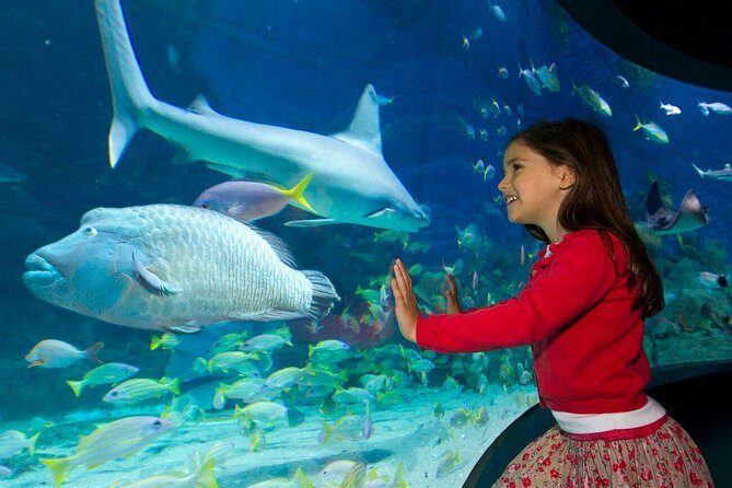 SEA LIFE Melbourne Aquarium Admission Ticket - The Bottom Line: Who Will Love It?