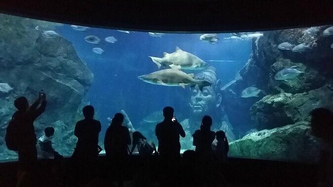 SEA LIFE Ocean World at Bangkok Admission Ticket - A Closer Look at the Experience