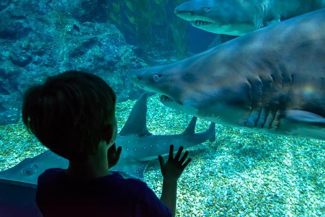 SEA LIFE Ocean World at Bangkok Admission Ticket - Final Thoughts: Is It Worth Visiting?