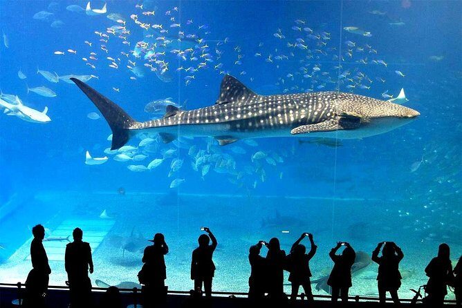 SEA LIFE Ocean World at Bangkok Admission Ticket - FAQ