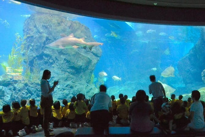 SEA LIFE Ocean World in Bangkok Admission Ticket - Key Points