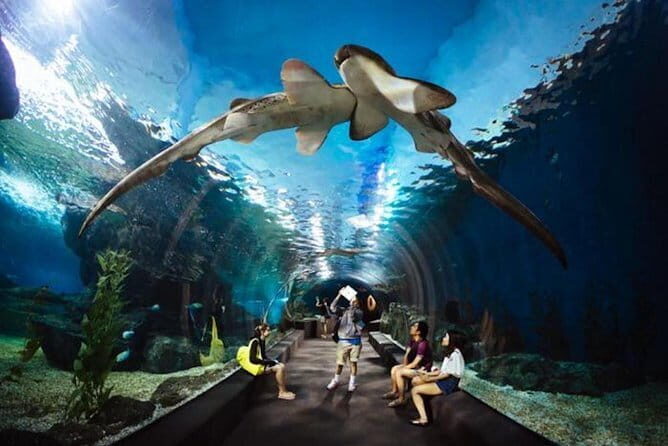 SEA LIFE Ocean World in Bangkok Admission Ticket - Who Should Consider Visiting?