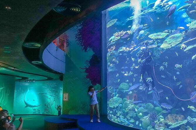 SEA LIFE Ocean World in Bangkok Admission Ticket - Final Thoughts