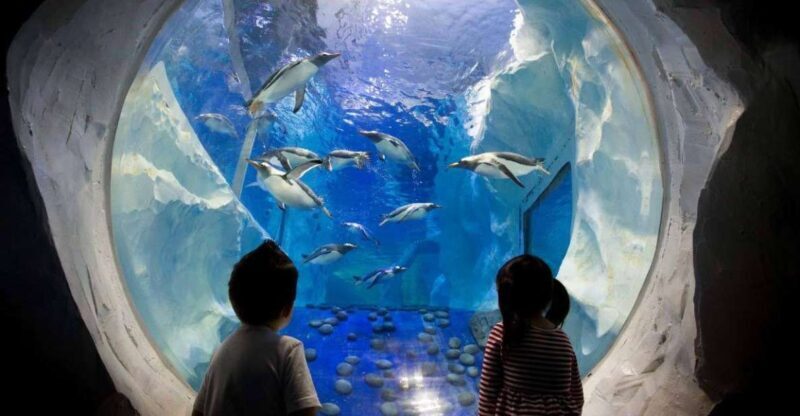 SEA LIFE Paris: Admission Ticket - What to Expect at SEA LIFE Paris
