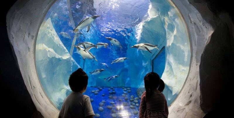 SEA LIFE Paris: Admission Ticket - Authentic Experiences and Visitor Insights